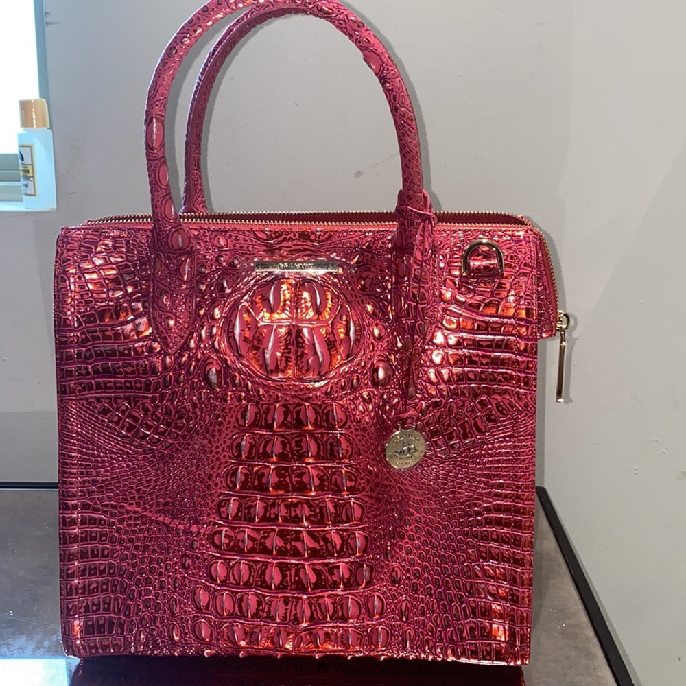 Brahmin - Picture 7 of 15